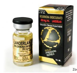 Boldenona landerlan gold