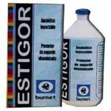 Estigor